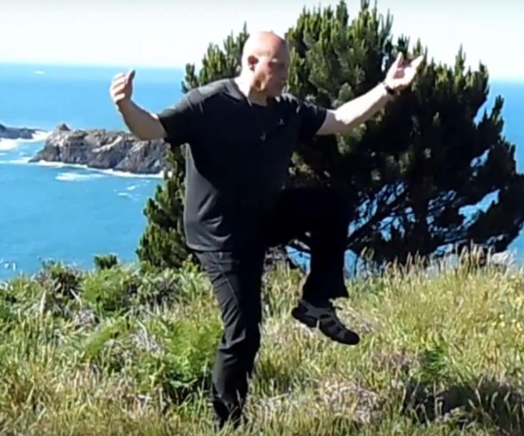 24 Tai chi vorm Aap loopt achteruit