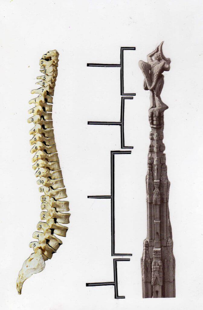 Oefeningen voor de rug - Qigong