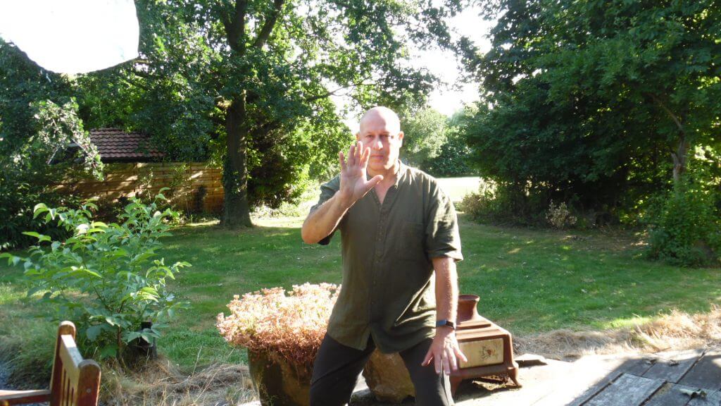 Tai Chi 8 vorm beweging 3