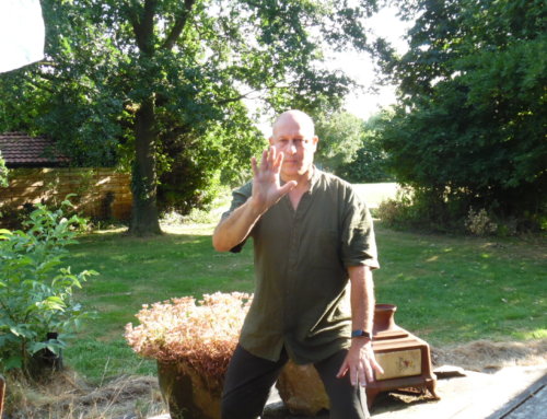 Tai Chi 8 vorm beweging 3