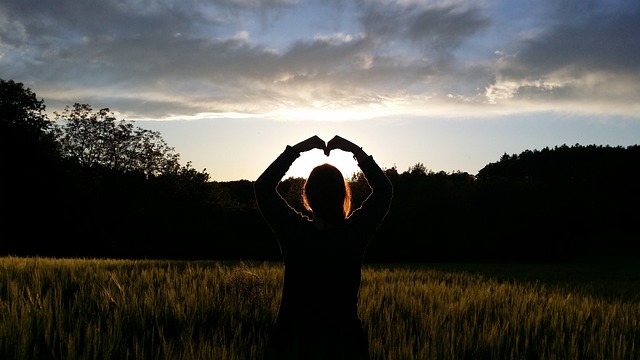 Shi Er Fa 12 Gezondheids beweging