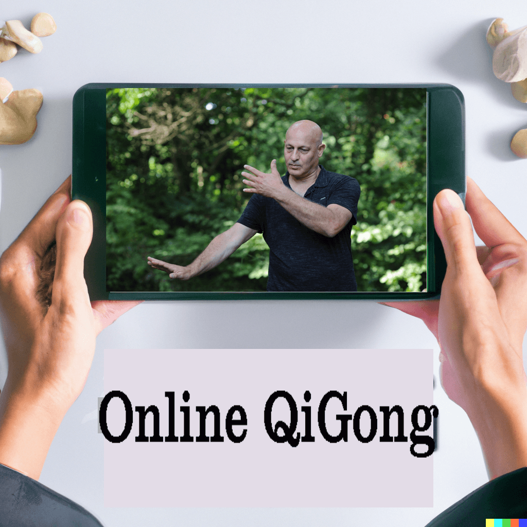 online qigobg lessen