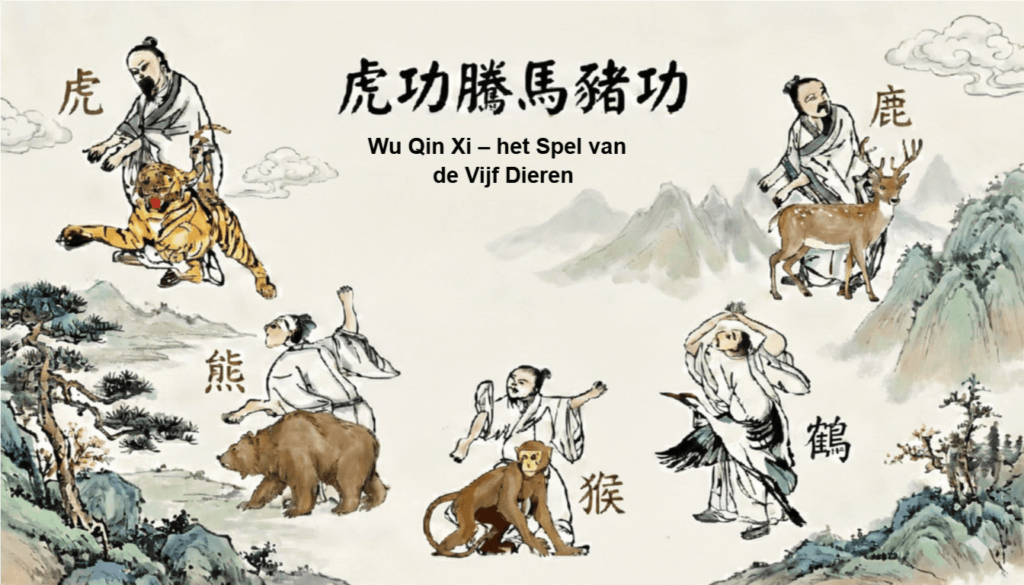 Qigong workshop – het Spel van de Vijf Dieren